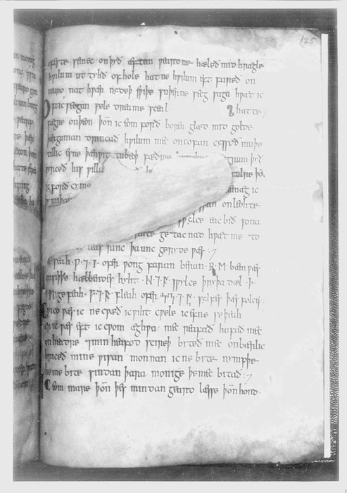 Damaged manuscript page